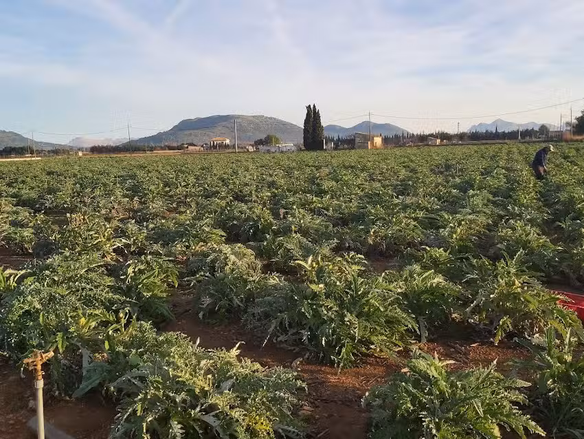 091 Finca Muro