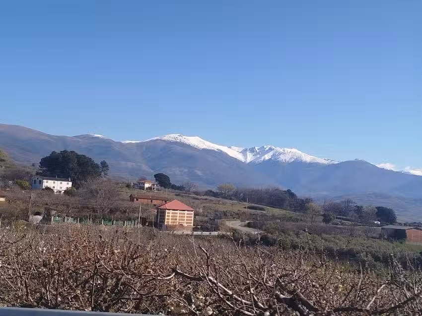 Acogedor Apartamento VALLE DEL JERTE