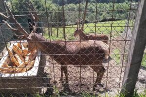 Agroturismo Usasku Berri Nekazal Turismoa