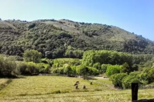 Albergue Bertiz Aterpetxea