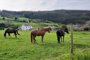 Albergue de peregrinos de Gondán