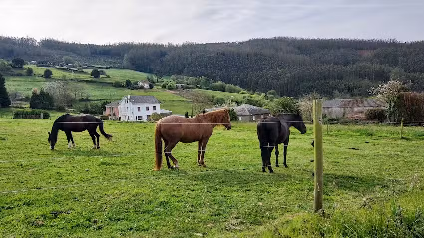 Albergue de peregrinos de Gondán