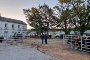 Albergue de peregrinos de Gontán