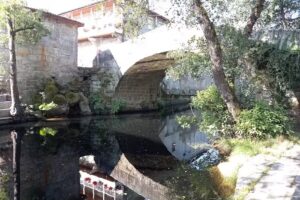 Albergue estaciones vivas