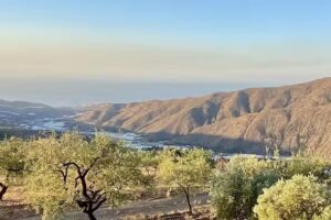 Albondon Cortijo Blanco