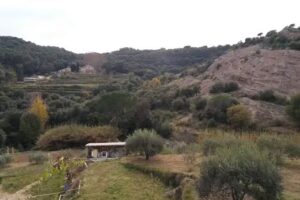 Aldeas Infantiles S. A.