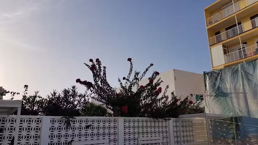 All Suite Ibiza Aparthotel