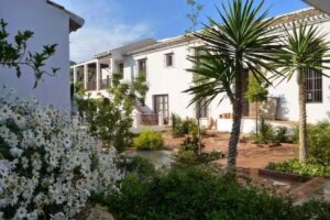 Almazara de solerche