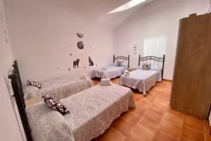 Alojamiento Los Tejos-Arroyo Frío