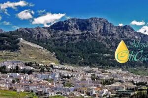 Alojamiento OliCazorla