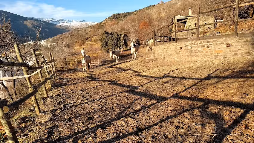 Alojamiento Rural Casa Margarita