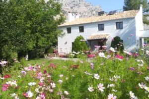 Alojamiento rural Saluda Alta