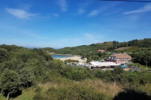 Alojamientos Arena S.L.