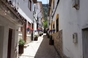 Alojamientos Arroyo Frio