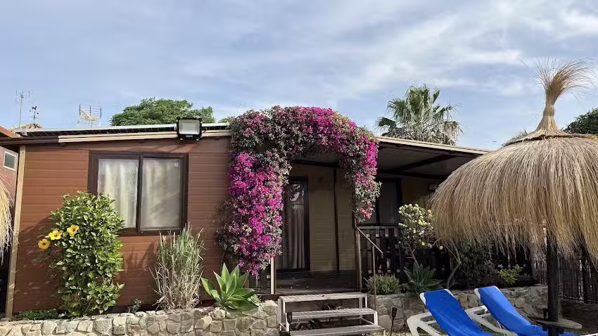 Alojamientos Bayzara