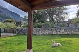 Alojamientos de Agroturismo El Llagar de Mon