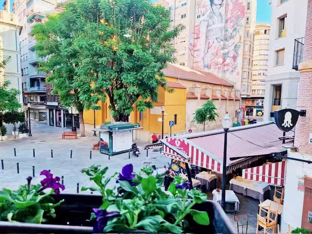 Alojamientos Fenix MURCIA