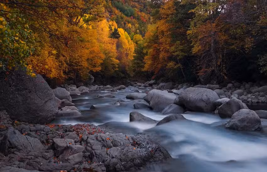 Alojamientos Zinqueta