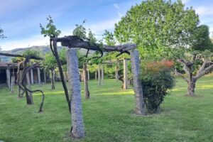 Aloumiños do Ribeiro