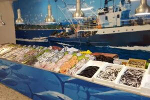 ANTONIO SOLORZANO GARRIDO