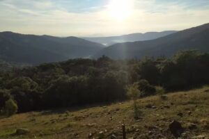 Apartament del Loreto