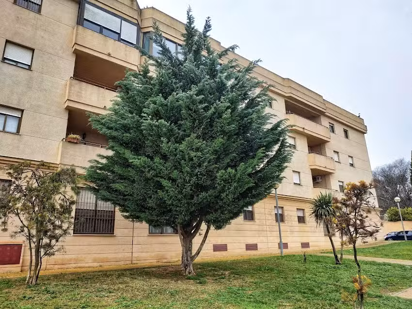 APARTAMENTO CENTRO JARDINES TEMPUL