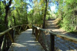 Apartamento el Sendero