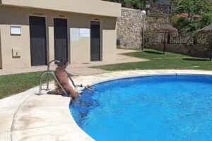 Apartamento en Baviera golf