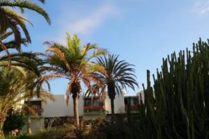 Apartamento Primavera