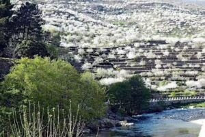 Apartamento Rural San Jorge Bajo