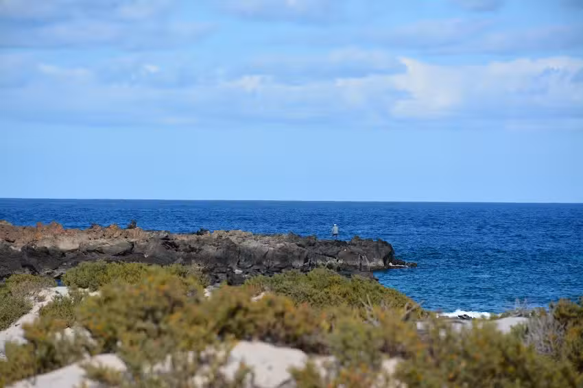 Apartamento Tabaibita