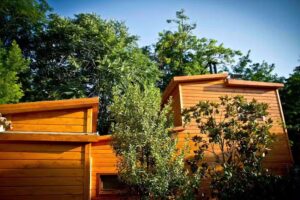 Apartamentos el Bosquet