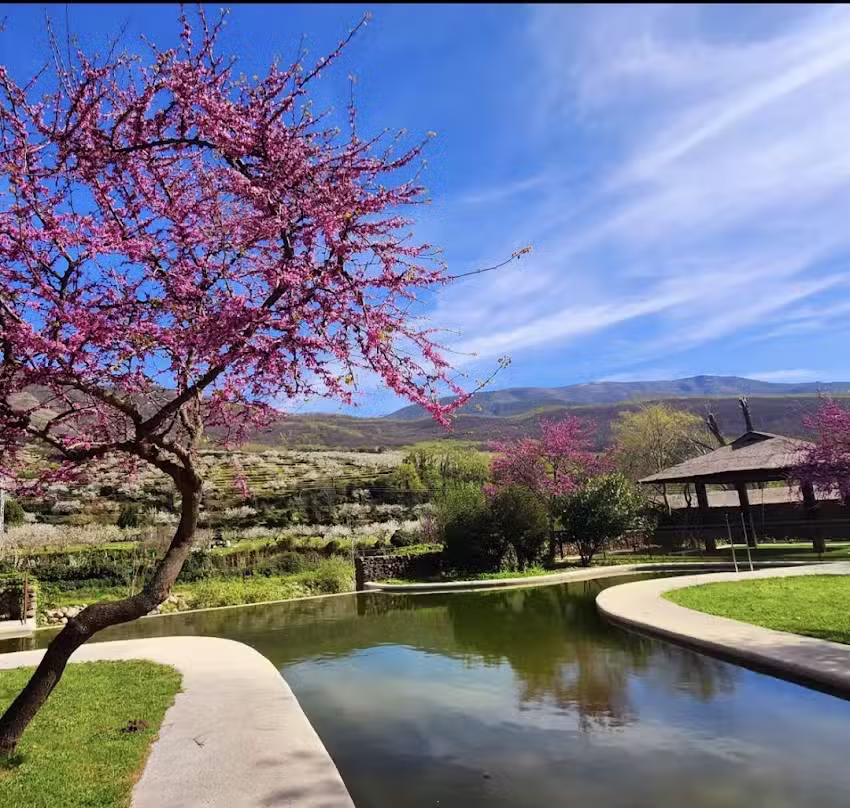 Apartamentos el Huerto del Cura – Valle del Jerte