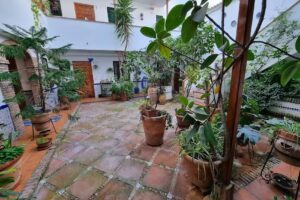 Apartamentos en Patio Cordobes San Basilio