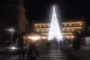 Apartamentos Entrepatios