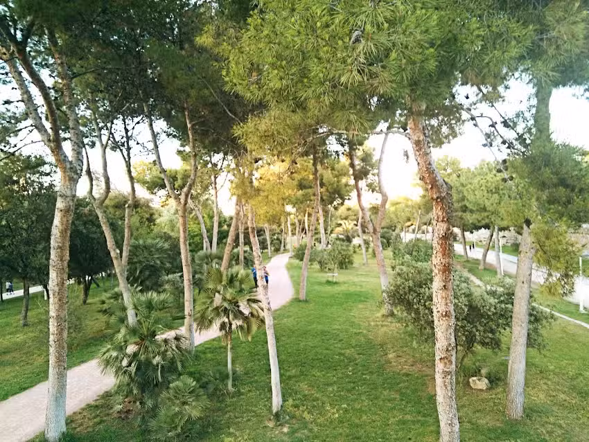 Apartamentos Jardines Del Turia