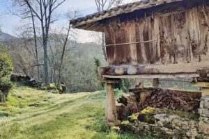 Apartamentos La Cortina de Coraín