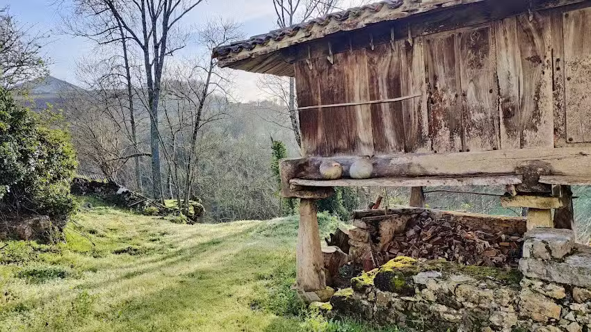 Apartamentos La Cortina de Coraín
