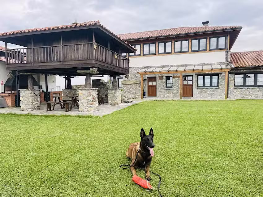 Apartamentos La Lozana