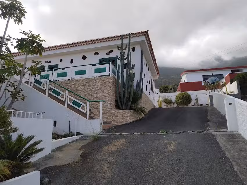 Apartamentos La Palmera