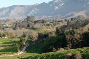 Apartamentos La Tienda de Porrúa