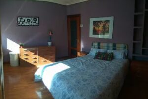 APARTAMENTOS LOGROÑO, LAUREL CENTRO.