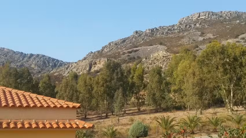 APARTAMENTOS LOS BELLOSO