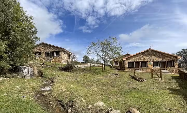 Apartamentos Los Pocillos