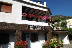 Apartamentos Los Tinaos