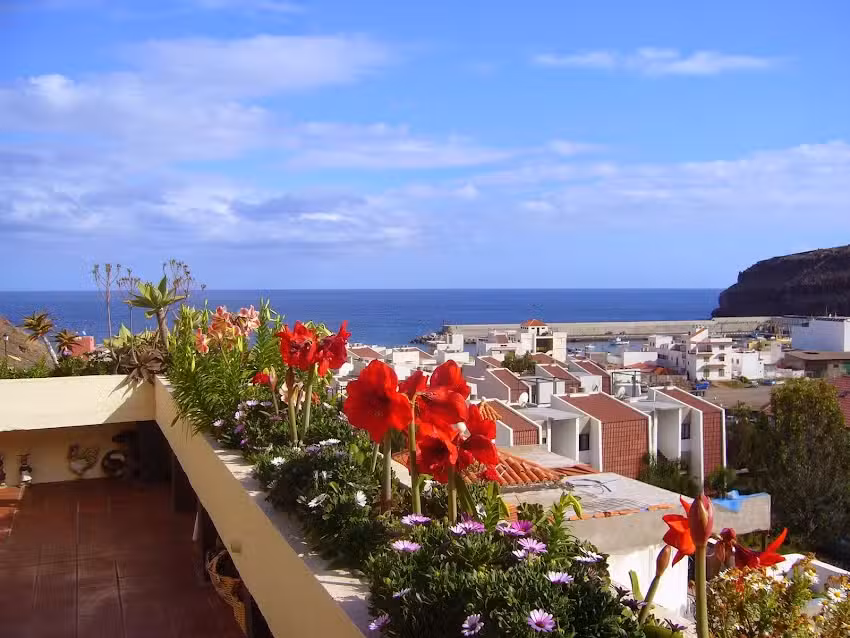 Apartamentos Lourdes