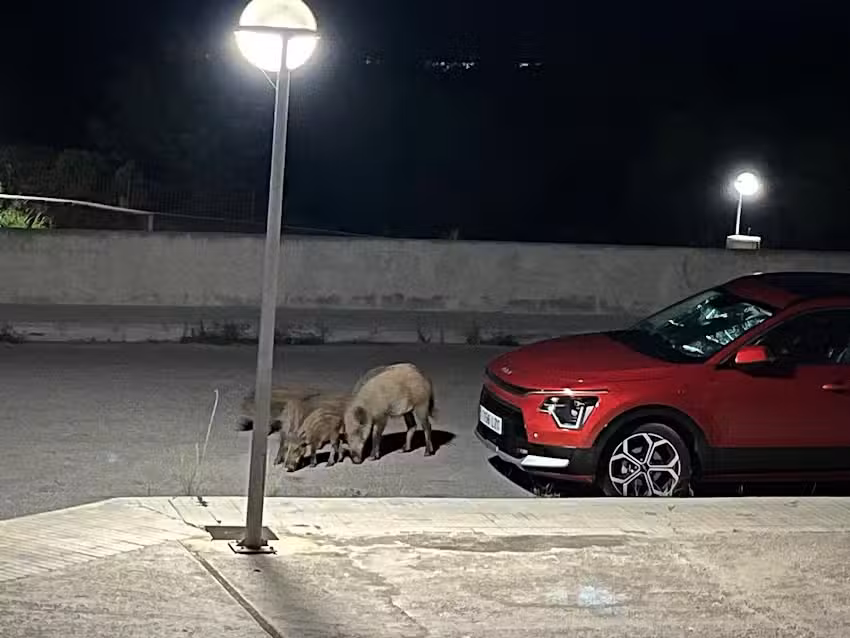 Apartamentos Madeira 3000