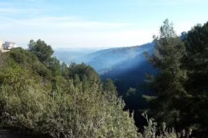 Apartamentos Mayordomo