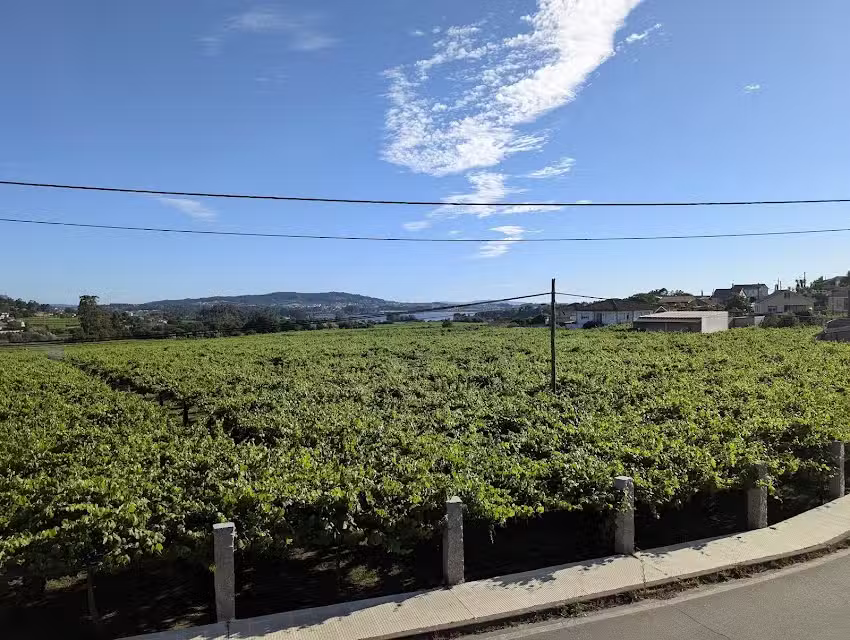 Apartamentos o castro