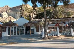 Apartamentos Oasis de las Palmeras